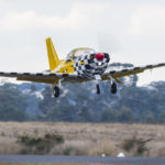 Matt Savage – DSC_7883